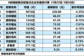 储能概念板块微涨0.10%，亿纬锂能发行可转债获受理｜储能周评榜图片