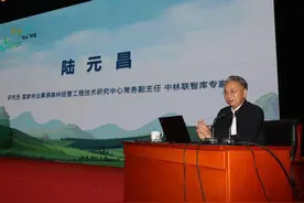 国家林业草原森林经营工程技术研究中心常务副主任陆元昌：打造森林生态系统全要素经营 推进我国生态环境治理体系和经营管理能力的现代化图片