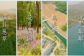 这样生态治理“蚌”极了！济宁塌陷地如何实现生态增绿、百姓增收图片