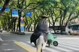 仗剑穿越中国！揭秘福州市区“白马侠客”背后故事……图片