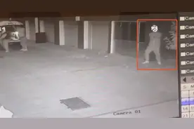 男子半夜盗窃，得手后对着监控嚣张“电摇嘲讽”……图片