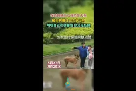 保洁阿姨为女孩挡住大狗，被大狗缠住一个多小时，明明自己也很害怕却义无反顾图片