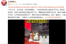 暖心解救！受伤流浪猫钻进车底，消防员播放猫叫视频引它出来图片