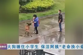 “用老命保小命”，她挺身而出……图片