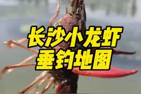 “钓”火亲子游，这份长沙小龙虾垂钓地图请拿走图片