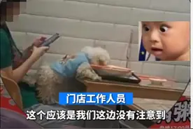 宠物狗竟用餐厅餐具进食，网友谴责狗主人太没公德心！店方回应图片