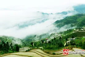 辰溪七姓瑶山：一场打破“世界纪录”的拔河比赛图片