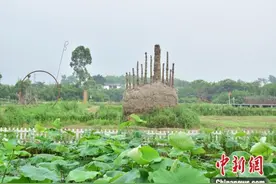 牛圈变茶室、厨房变书房 重庆璧山用艺术唤醒乡村活力图片