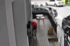 小男孩抓幼猫乱甩后摔地上致其死亡，心理医生紧急提醒图片