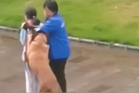 未牵绳大狗纠缠女孩，保洁阿姨用身体保护被抓伤，警方回应图片