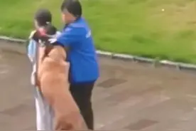 未牵绳大狗纠缠女孩，保洁阿姨用身体保护被抓伤，警方回应图片