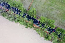 大熊猫“丫丫”平安回到北京动物园 粉丝洒泪现场图片