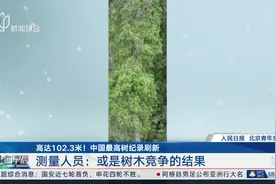 高达102.3米！中国最高树纪录刷新 测量人员：或是树木竞争的结果视频封面
