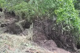 倾倒50多吨危险废物，致生态环境严重破坏！案情公布图片