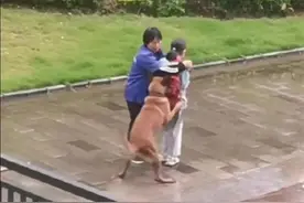 为保护女孩，保洁阿姨用身体挡住猛犬！图片