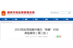 2023民生领域案件查办“铁拳”行动典型案例（第二批）图片