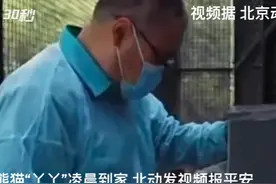 环绕巡视新家、吃新鲜竹叶 大熊猫“丫丫”凌晨到家 北动发视频报平安图片
