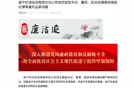 吴杨接受审查调查图片