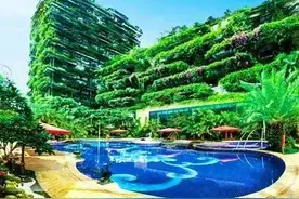 硬核！玉林这里凭什么这么火图片