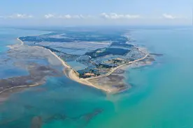 （新华全媒+）天空之眼瞰湛江：向海而兴 向海图强 向海“湛”放图片