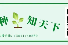 四川、江西、广东、天津一批品种拟通过审定、引种备案图片