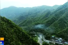 英才小学举行庆“六一”文艺汇演视频封面
