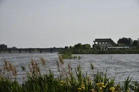 青州市：弥河一曲绕城流 湿地润城绿意浓图片
