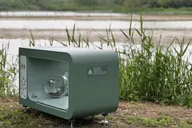 【生态关注】溪景猫屋，是福是祸？图片