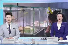 教育部等十八部门联合印发《意见》全面提升中小学生科学素质 推动实现每所小学至少有1名理工硕士科学教师视频封面