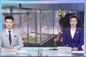 教育部等十八部门联合印发《意见》全面提升中小学生科学素质 推动实现每所小学至少有1名理工硕士科学教师视频封面