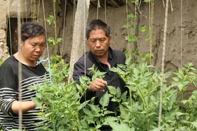 我和我的村丨“老黑书记”的电动自行车图片