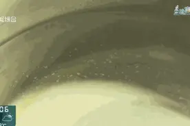 自来水烧开后有漂浮物？上海多个小区都遇到了！图片