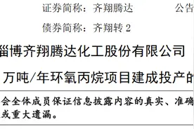 淄博齐翔腾达化工股份有限公司30万吨/年环氧丙烷项目建成投产图片