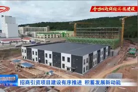 四川新闻联播 | 招商引资项目建设有序推进 积蓄发展新动能图片