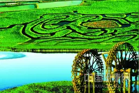 解码宁夏“六特”好物 宁夏品质真的行！图片