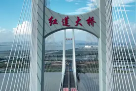 视频｜红莲大桥正式通车，龙穴岛到万顷沙只需5分钟图片