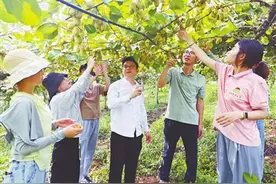 科技小院，点亮“希望的田野”图片