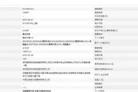 洛阳一AA+城投集团发行3亿元私募债，票面利率6.5％图片