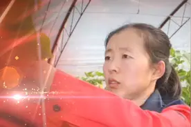劳模故事·陕西劳模丨孙萌：脚下有黄土心中有理想视频封面