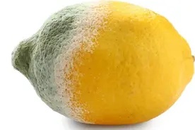 伤肝伤胃水果排行榜，第一竟是它！越吃肝越肥、胃烂成筛子，劝你再爱也要管住嘴图片