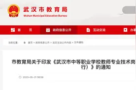 明确了，分13个等级！事关这些武汉人的职称图片