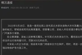 山东砍柯基男子被曝任职公益岗，官方：为安置就业困难人员，工资不高图片
