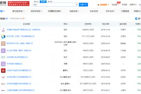 苏芒仍任职时尚芭莎旗下多家公司，盘点其商业版图图片