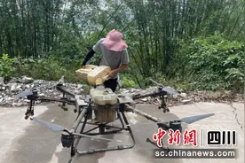 宜宾叙州区：首次启用植保无人机 为荔枝树施肥图片