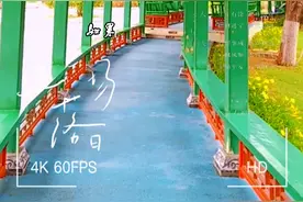 浅夏总是那么美，岁月有相逢，途径的路上，我们步履不停深深感悟图片