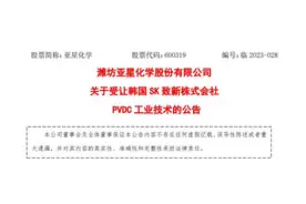 财看闪电｜布局高端新材料！亚星化学拟以2000万美元购买韩国SK致新PVDC工业技术图片