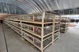 一场博士和农民夏日里的双向奔赴图片