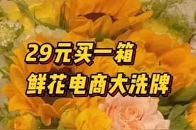 29元买一箱，鲜花电商大洗牌图片