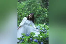 绣球花也能拍出少女感图片