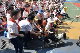 国际儿童节 | 海关进校园：守护国门从小做起图片